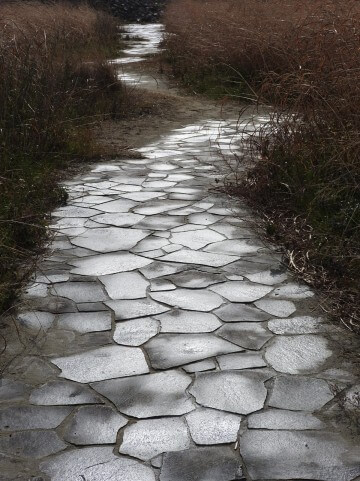 さみしい雰囲気の石畳の道